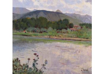 Paesaggio della Versilia Paesaggio della Versilia